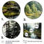 Canada Whispering Pines III, reproduction d'art sur toile-499262774-499262777