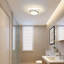 Azarion 2-Light 28cm led Flush Mount Ceiling Light 