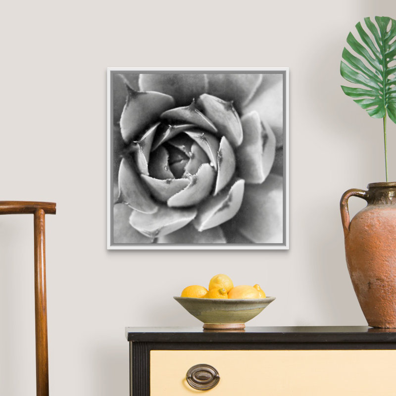 «Garden Succulent II», art mural sur toile, Toile avec cadre blanc, H 20 po x l 20 po x P 1,75 po