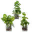 Ensemble de 3 plantes artificielles en verre