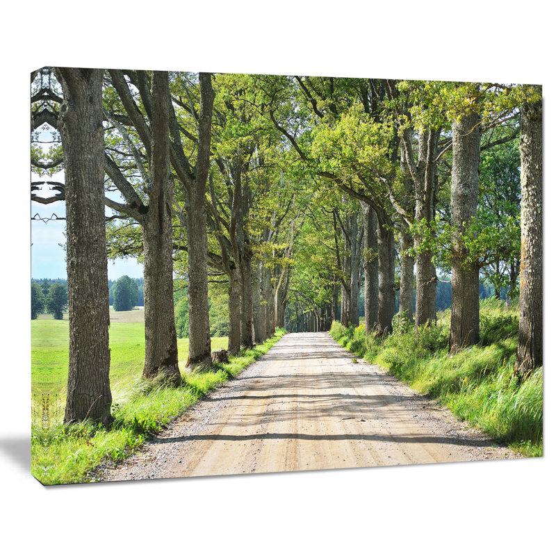 « old road through alley », reproduction de photo sur toile tendue, H 8 po x l 12 po x P 1 po