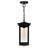 Oakwood Outdoor Pendant