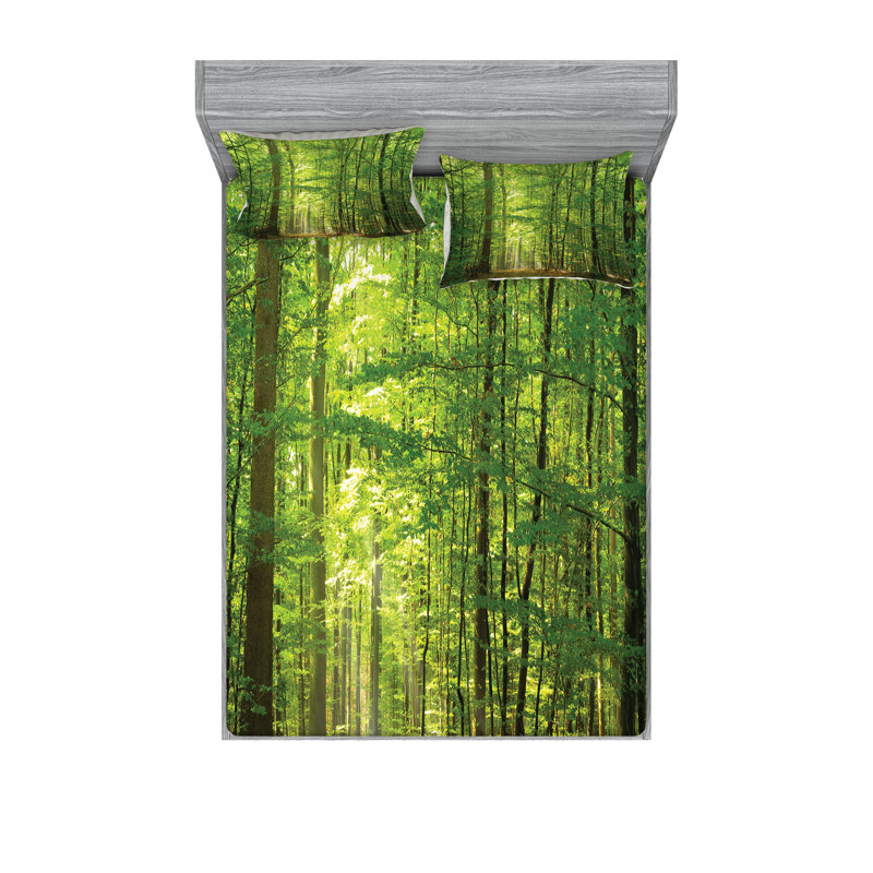 Drap-housse et coussin décoratif Ambesonne, Ensemble de draps pour grand lit + 5 pièces suppl