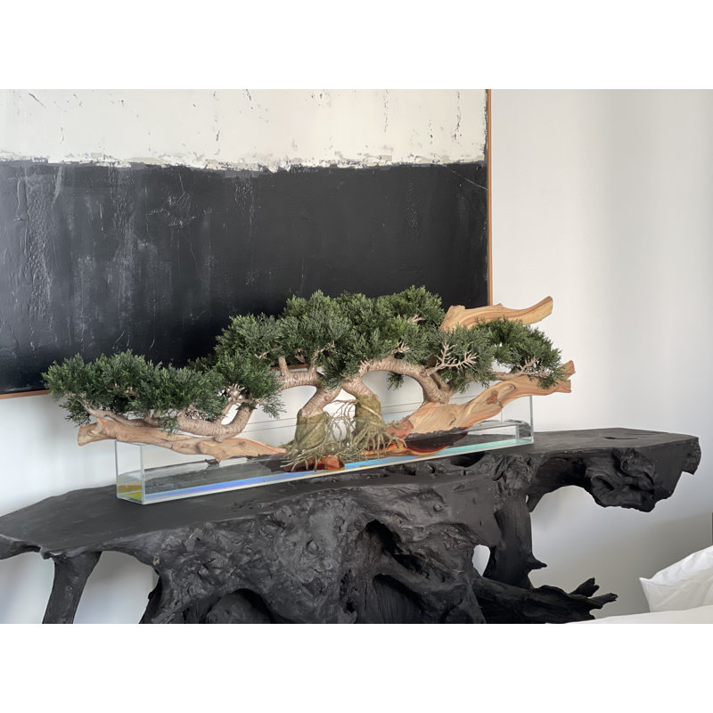 Faux Bonsai Tree in Planter, Light Green, 10" H x 52" W x 8" D