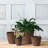 Nashville Pot Planter-1946394745-1946394739
