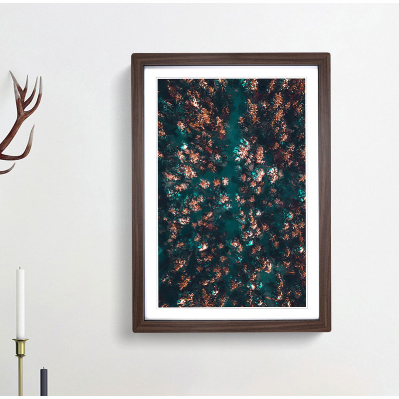 View of a Forest in Oslo Norway in Abstract - Picture Frame Graphic Art Print, 60cm H x 40cm W x 2cm D, Walnut