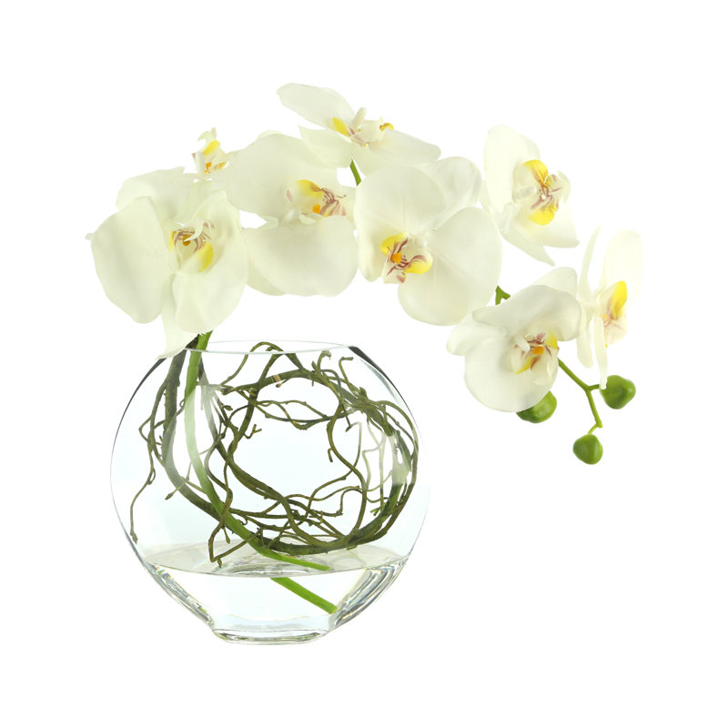 Whisman Orchid Arrangement in Round Glass Vase with Vines, White