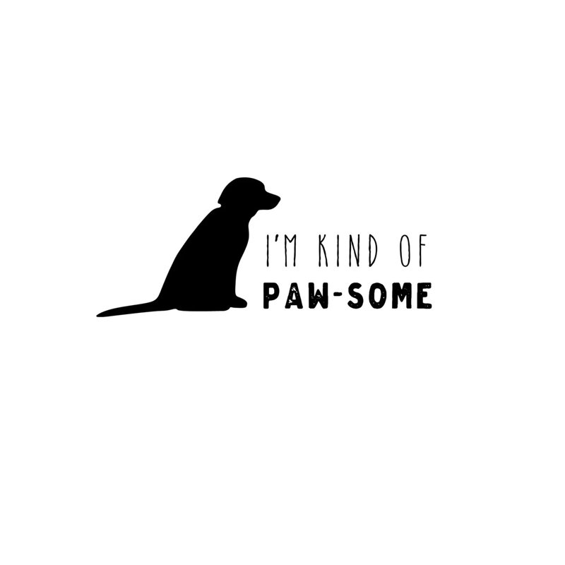 Pawesome Dog by Amanda Murray - Wrapped Canvas Print, 66.04 cm H x 66.04 cm W x 3.175 cm D