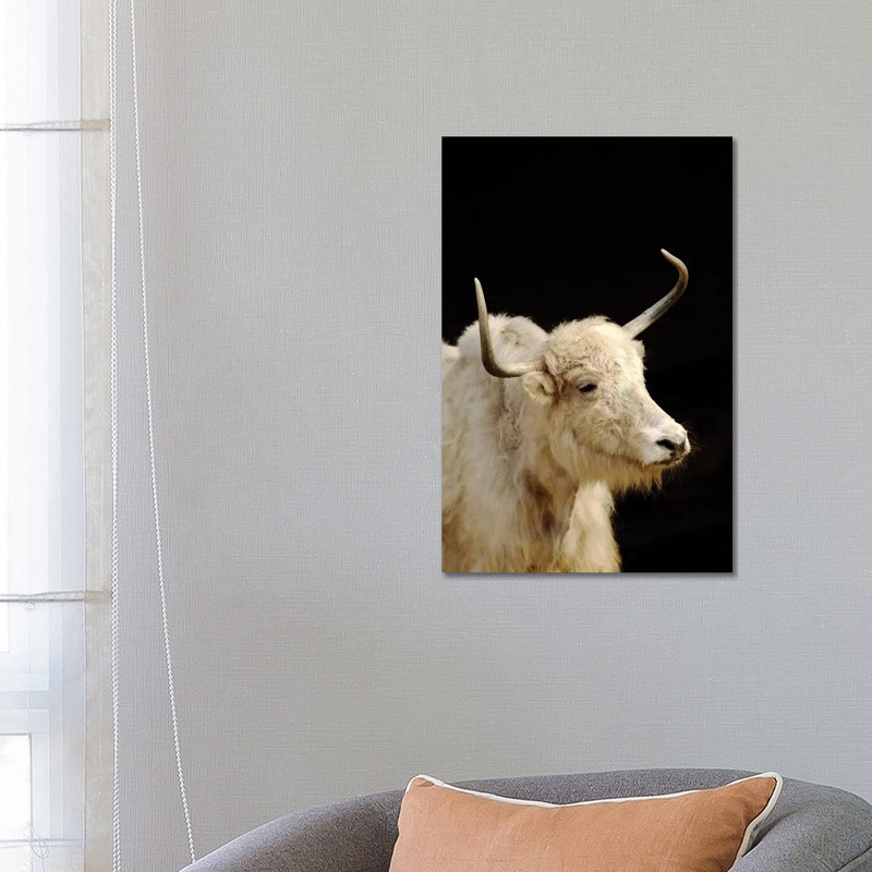 Cow 1 Piece Wrapped Canvas Wall Art, 66.04 cm H x 45.72 cm W x 3.175 cm D