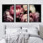 "Flower Blossom", bouquet de pivoines roses, photos murales modernes Moody, impression encadrée sur toile, 3 pièces-87392674-87392676-119396126