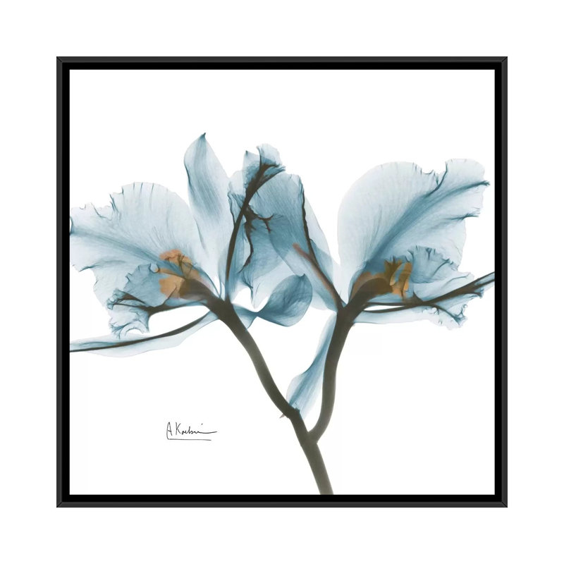 " Orchid " by Albert Koetsier, 18" H x 18" W x 1.5" D, Black Framed Canvas, No Mat