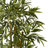 Thisbe 66'' Faux Bamboo Tree in Wood Planter