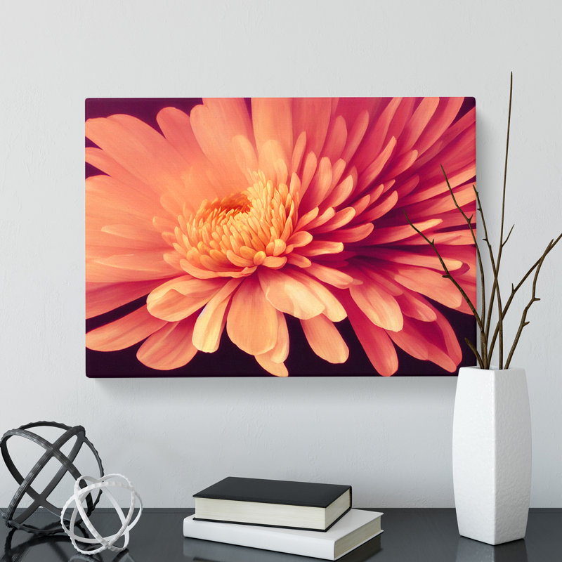 Gorgeous Chrysanthemum Flower - Wrapped Canvas, 50cm H x 76cm W x 3cm D