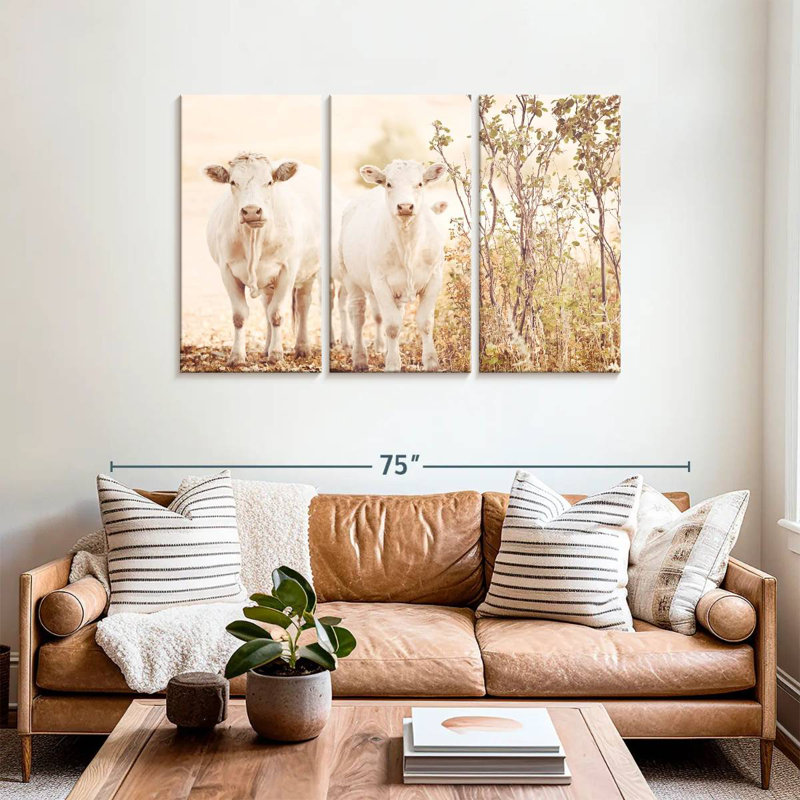 Charolais Cows, 36" H x 57" W