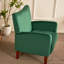 Swansboro Velvet Club Chair-669538802