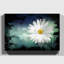 Flower Beautiful White Daisy - Wrapped Canvas-35549024