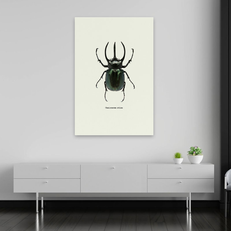 Coléoptère noir - art animaux et insectes, H 60 po x l 40 po