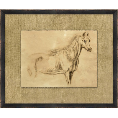 Charcoal Animal Collection 9 Print