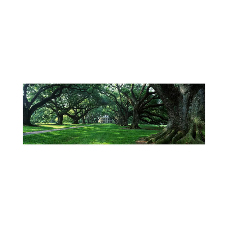 USA, Louisiana, New Orleans, Oak Alley Plantation, Plantation Home Through Alley of Oak Trees 1 Piece Wrapped Canvas Panoramic Wall Art