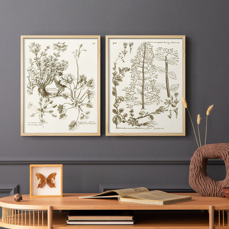 «Sepia Botanical Journal», reproduction encadrée de qualité supérieure - prête à être accrochée - aucun clou requis - aucun clou requis