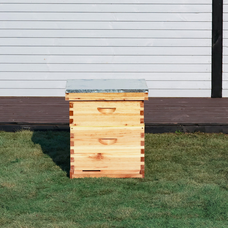 10-Frame 2-Layer Beehive Kit – Complete Langstroth Hive For Beekeeping, 19.9" H x 16.3" W x 21.7" D