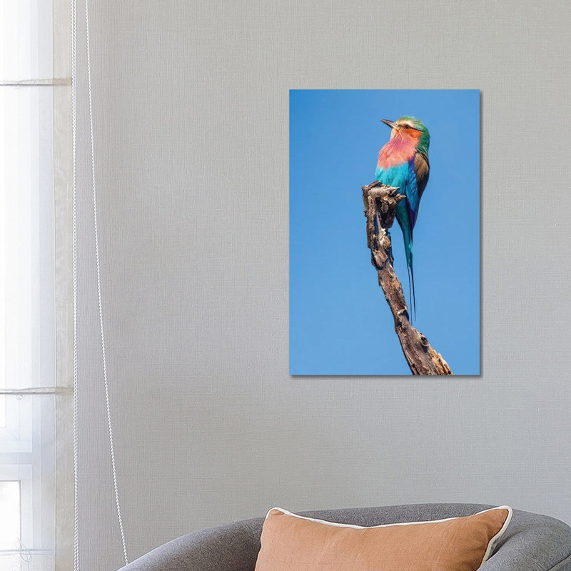 Hummingbird Sight 1 Piece Wrapped Canvas Wall Art