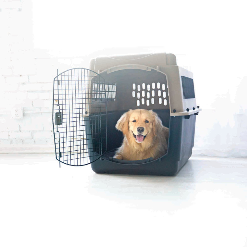 Plastic Pet Carrier with 1 Door, 30" H x 27" W x 40" D