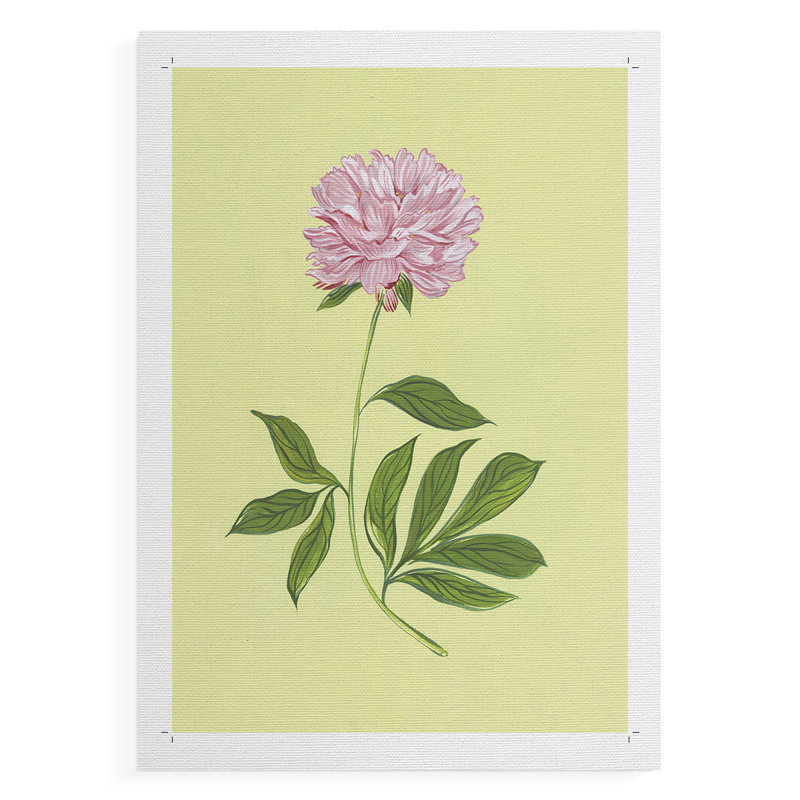Pivoines en jaune I - Impression sur toile seulement - NON-CADRE, H 12 po x l 8 po
