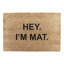 Adairsville Non-Slip Indoor Doormat