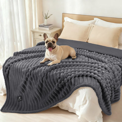 Waterproof Plush Pet Blanket, Soft Cut Velvet Furniture Protector for Dogs and Cats, Cozy Pet Throw for Sofa, Couch and Bed