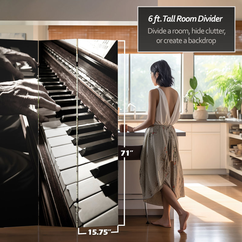 Paravent The Pianist Classical Music