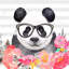 Panda avec lunettes - reproduction encadrée mat pour décoration de chambre à coucher