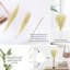 Arrangement