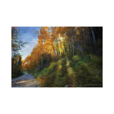 Shadowed Mtn Road by Christopher Vest - Wrapped Canvas Print