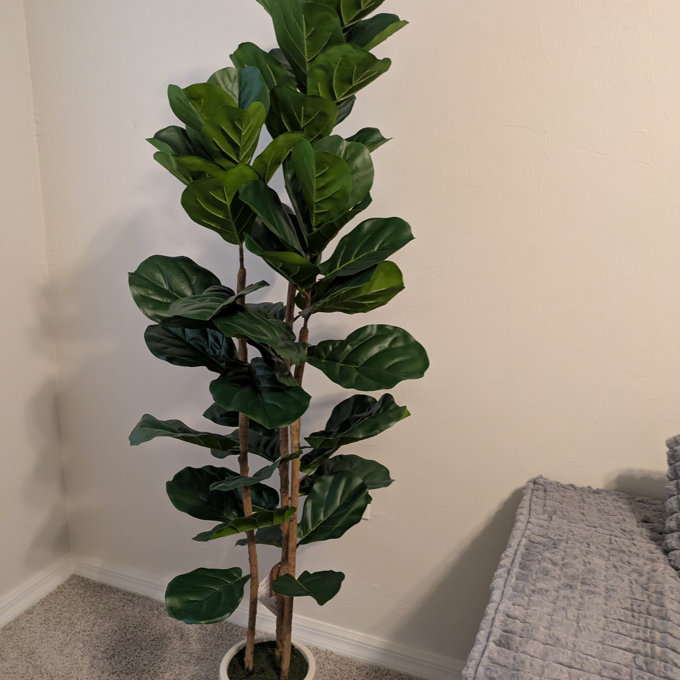 Adarna Artificial Fiddle Leaf Fig Tree with Realistic Leaves and Natural Trunk, Potted Tree - 60" H x 20" W x 20" D