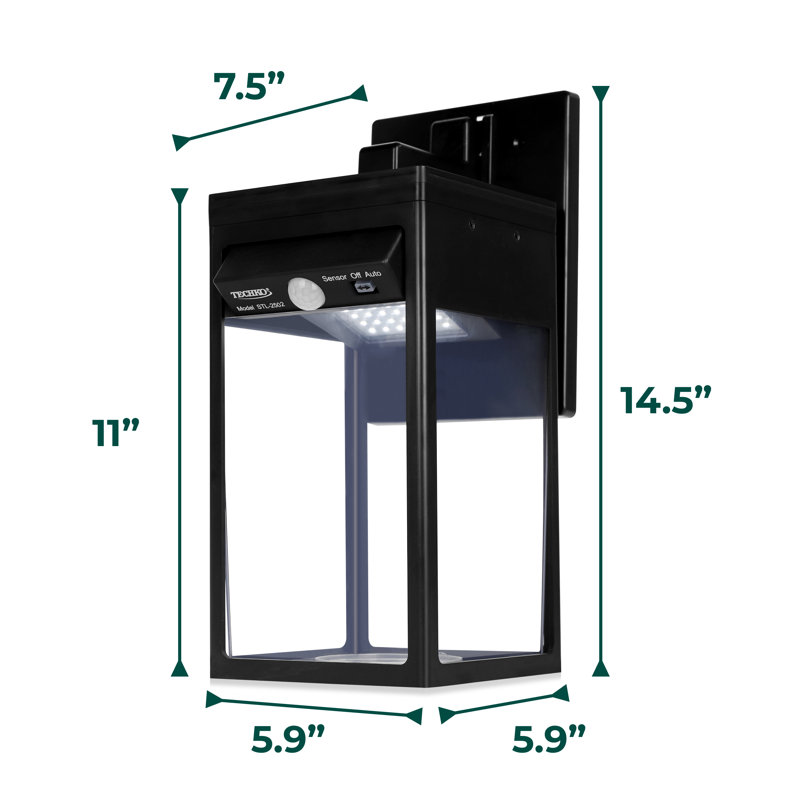 Solar Portable Lantern with Edison Bulb