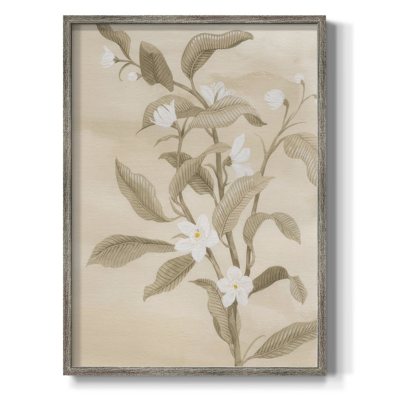 Sépia, fleur d'oranger croquis II, reproduction encadrée - bois massif, H 21 po x l 17 po