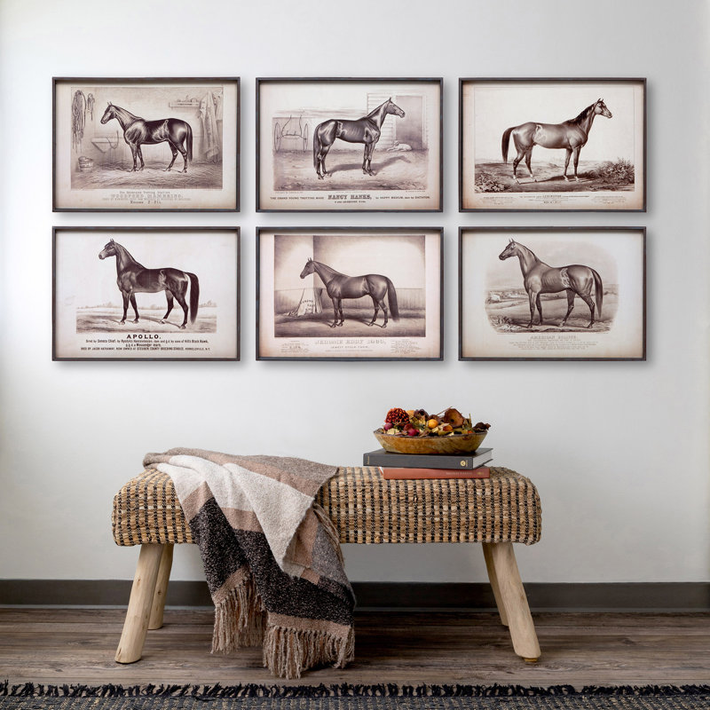 Prized Race Horse Framed Prints