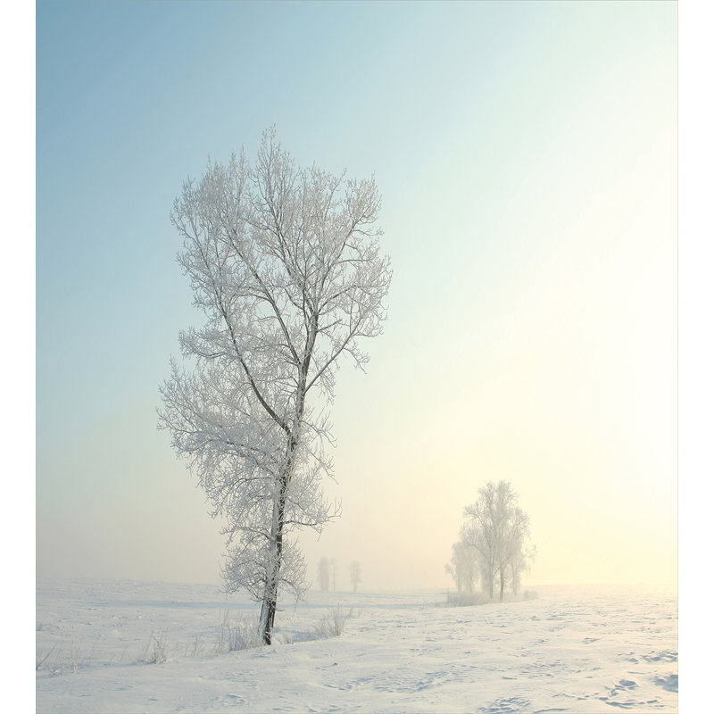 Coastal Polyester Duvet Cover, Frozen Tree Morning Sun