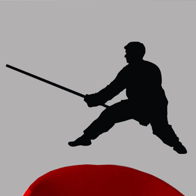 Martial Arts Non-Wall Damaging Wall Decal