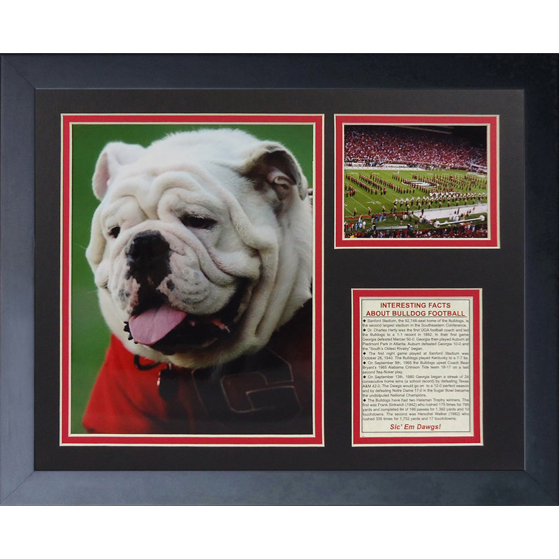 Souvenirs encadrée georgia bulldogs-uga