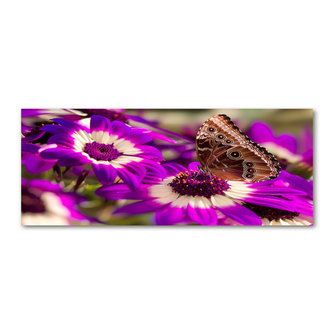 Schmetterling auf einer Blume - Kunstdrucke auf Segeltuch