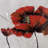 poppy flowers - 32"x32" art on canvas