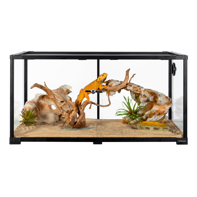 36'' x 18'' x 18'' Reptile Terrarium