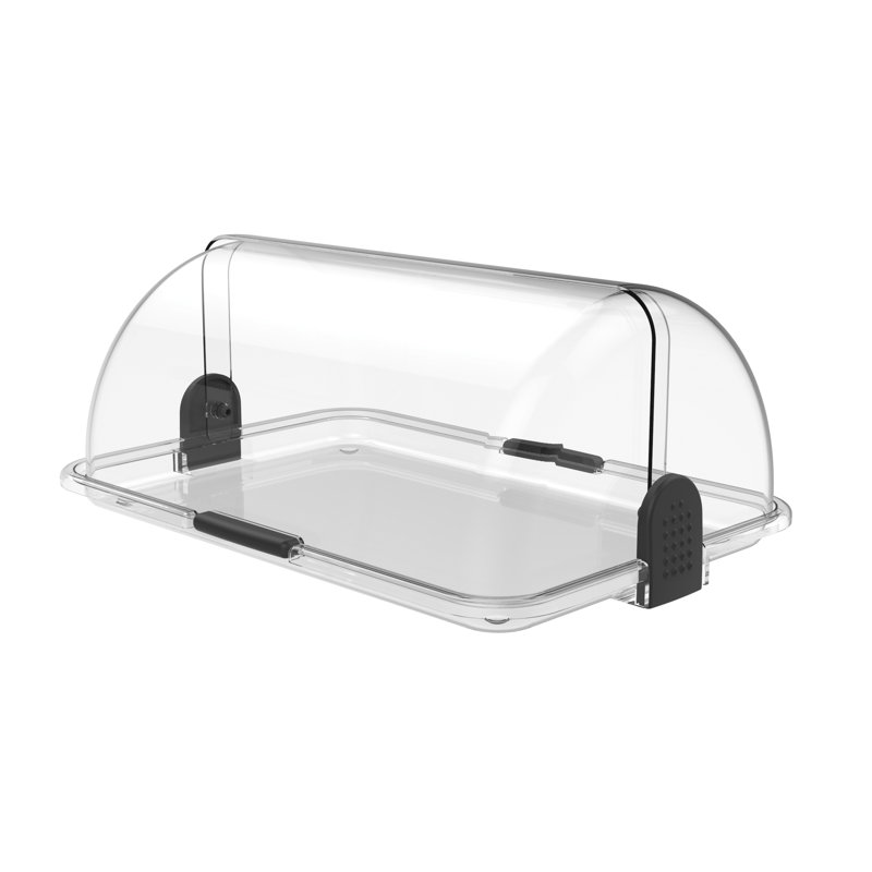 Gonsalve Food Storage Container, Transparent