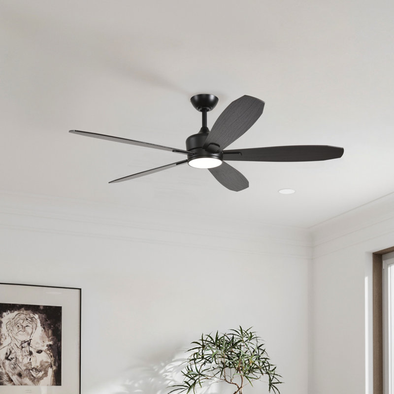 Bluejay 56-Inch Indoor Ceiling Fan with LED Light Kit, Matte Black with Blackened Oak/White Wood Reversible Blades, 6CCT Color Select, Integrated LED, Remote Control (5-Blade)
