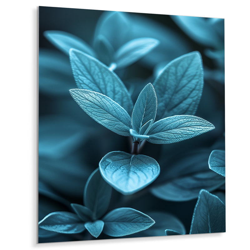 «Blue Natures Nuance Eucalyptus - Eucalyptus», reproduction d'art murale, Métal métal, H 44 po x l 34 po x P 1,5 po