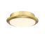 Wrap Custom Ceiling Fan Color Temperature (CCT) Select LED Light Kit - Brushed Satin Brass