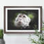 Macaque Monkey - Picture Frame Graphic Art-62802278-62802277