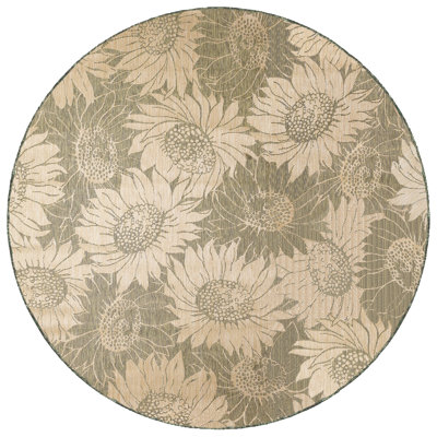 Tapis d'intérieur / extérieur Vannoy